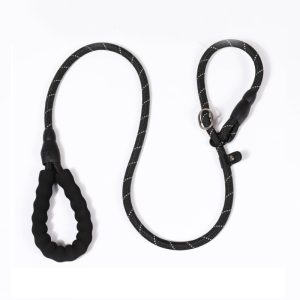 dog leash
