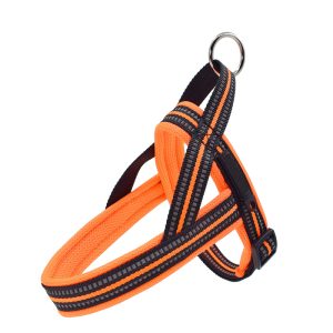 Dog Harness Set