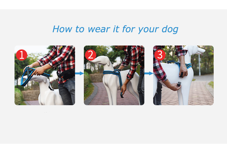 Dog Harness - Image 3