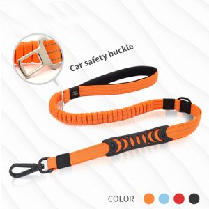 Bungee Dog Leash